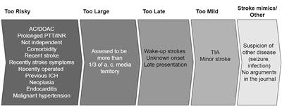 Too risky, too large, too late, or too mild—Reasons for not treating ischemic stroke patients and the related outcomes